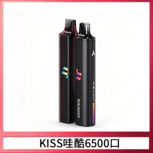 KIS5WAGOO哇酷6500口拋棄式 | 自由混搭雙口味 | 雙芯組合